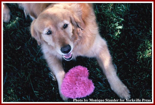 Trixie Koontz, dog and spirit