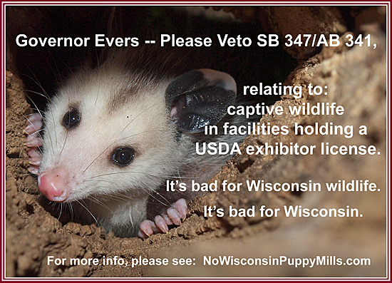  Possum asking Gov. Evers to veto SB 347/AB 341