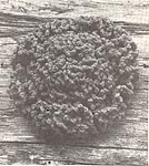 Annie's Attic Vegetable Potholders: Curly-Leaf Lettuce