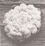 Annie's Attic Vegetable Potholders: Cauliflower