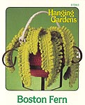 Annie's Attic Hanging Gardens: Boston Fern
