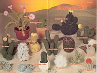 Annie's Pattern Club Cactus Garden