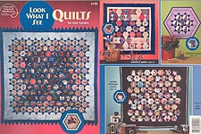 ASN Look What I See Quilts