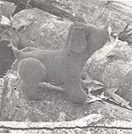 Annie's Attic The Knotheads Mutt